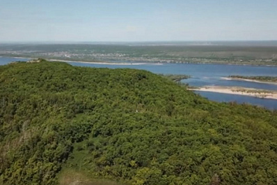 В Самаре обсудили закон о “лесной амнистии”