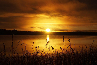 Озеро Леснуха в Самаре очистят от мусора