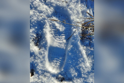 Сызранские полицейские по следам на снегу нашли заблудившегося в лесу ульяновца