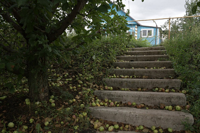 Название статьи