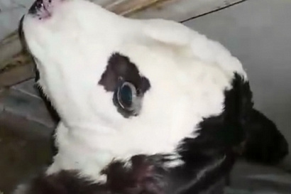 Название статьи