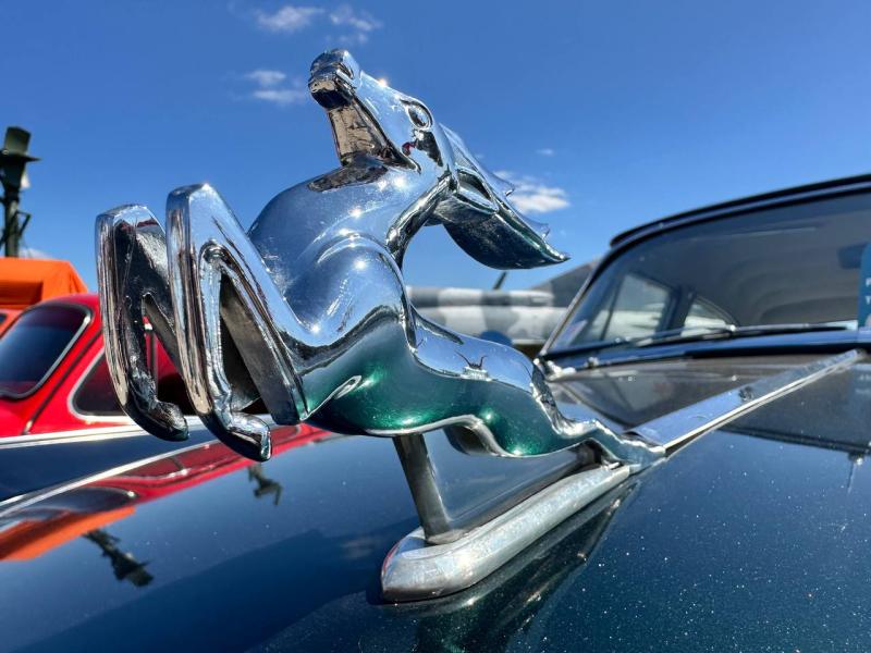 В Тольятти ретрофестиваль "Жигули" объединил более 20 регионов страны