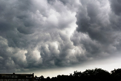 Название статьи