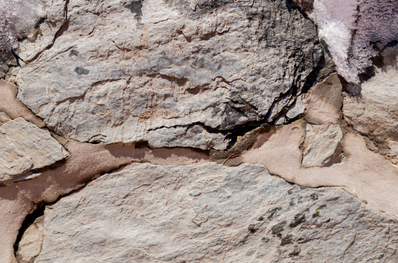В Самарской области обнаружили кости ихтиозавра