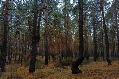 Название статьи