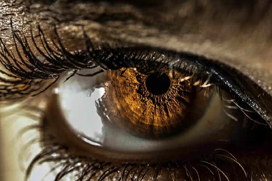 Почему люди хотят изменить цвет глаз. Утро Губернии