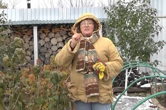 Дачные советы 5.11.2015 