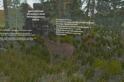  В Челно-Вершинском районе школьники создали виртуальный лес