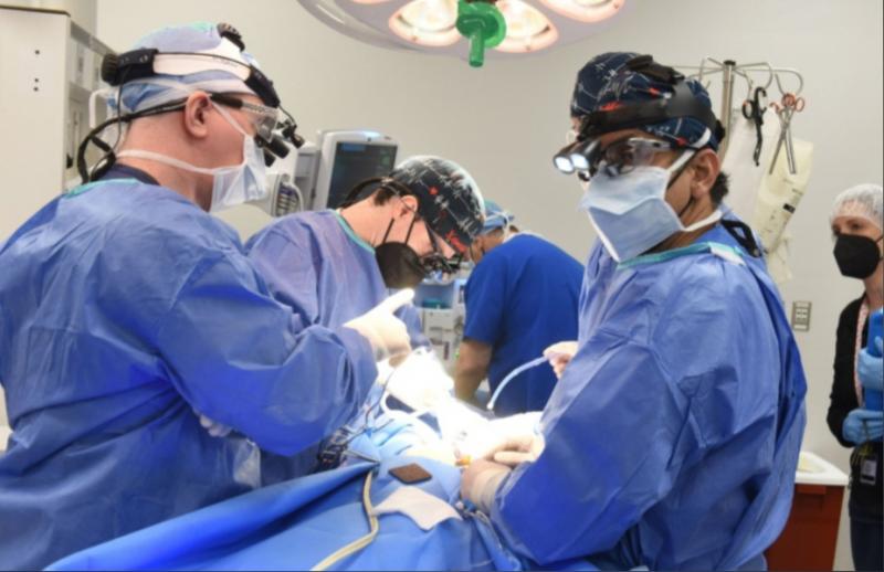 Американские хирурги успешно пересадили человеку свиное сердце