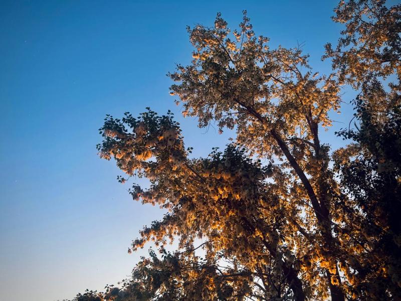 Народные приметы на 31 мая 2025 года: что нельзя делать в этот день