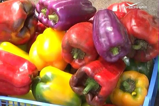 Дачные советы 03.08.2017. Началась уборка урожая