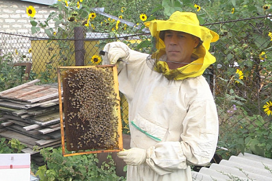 В Самарской области развивается практика социальных контрактов