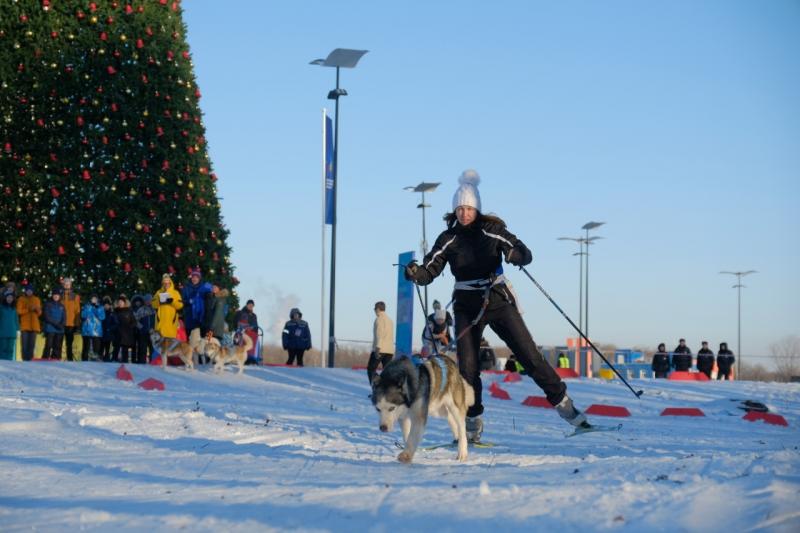 В "Самарской Олимпийской Деревне" прошел забег на собачьих упряжках