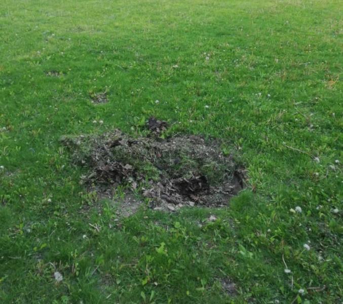 В Самаре ребёнок чуть не провалился в колодец в парке