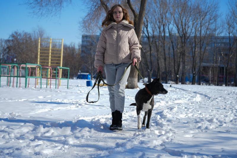 По делам четвероногих: как в Самарской области центр занятости помогает начинающим бизнесменам 