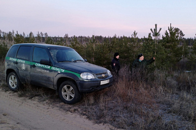 В Самарской области начали отлавливать уничтожителей сосен
