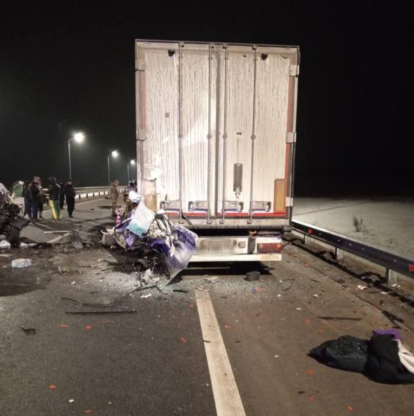 В ДТП с микроавтобусом и большегрузом в Самарской области погибли два человека