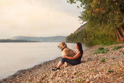 Он может напугать своими размерами: в Сызрани сбежал добрый алабай