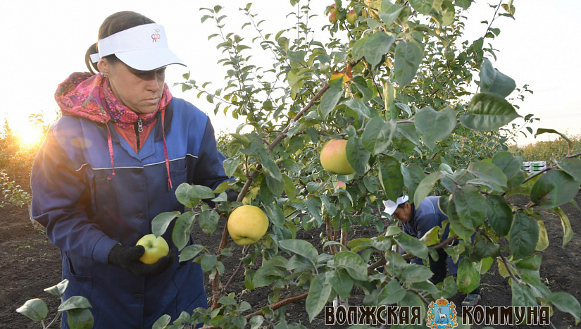 6 сентября в истории и архиве "ВК