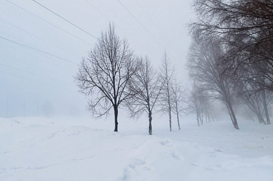 Туманное утро: в Самарской области 24 февраля ожидается до -3 градусов