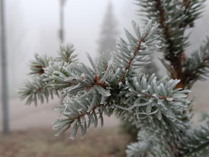 В Самарской области 12 февраля будет туман и изморозь
