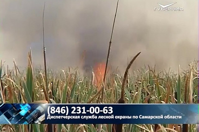 Особый противопожарный режим введут на территории региона с 16 апреля