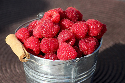 Малина в фокусе: ПП-варенье от предков и рецепты красоты от инстадив