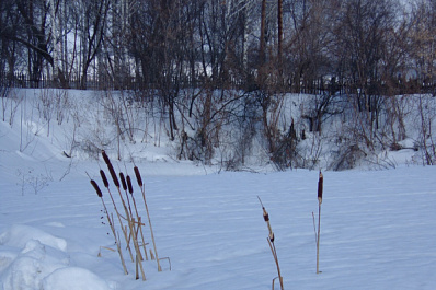 4 декабря в Самарской области станет теплее