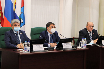 Самарские депутаты обсудили ремонт и строительство образовательных учреждений