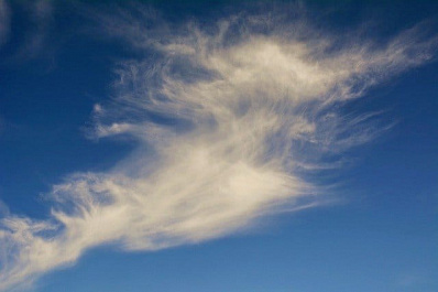 В Самарской области объявлен желтый уровень опасности из-за сильного ветра