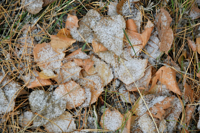 Мокрый снег и гололед: синоптики рассказали о погоде в Самарской области на ближайшие дни