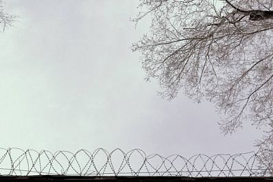 23-летний живодер может отправиться за решетку за убийство двух котов