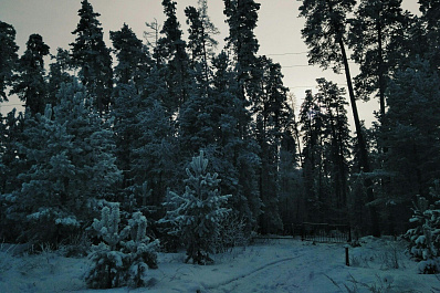 Проект по строительству дороги в Тольятти решено приостановить до 18 марта