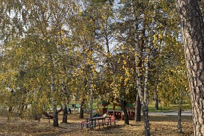 Погода на 15 октября 2024 года: народные приметы и прогноз синоптиков