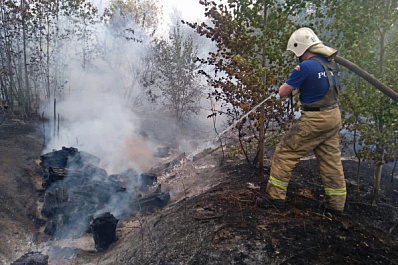 Новые подробности пожара в Тольятти: площадь возгорания увеличилась до 50 га