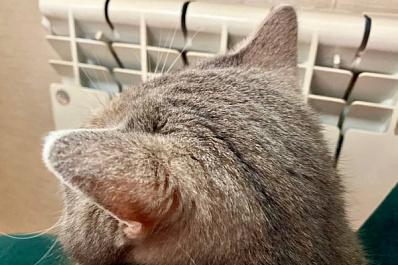 Ресурсники: долги за тепло одной из крупных УК Тольятти выросли еще на миллион