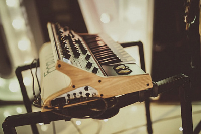 Самарца посадили на два года за кражу синтезатора у бывшей жены