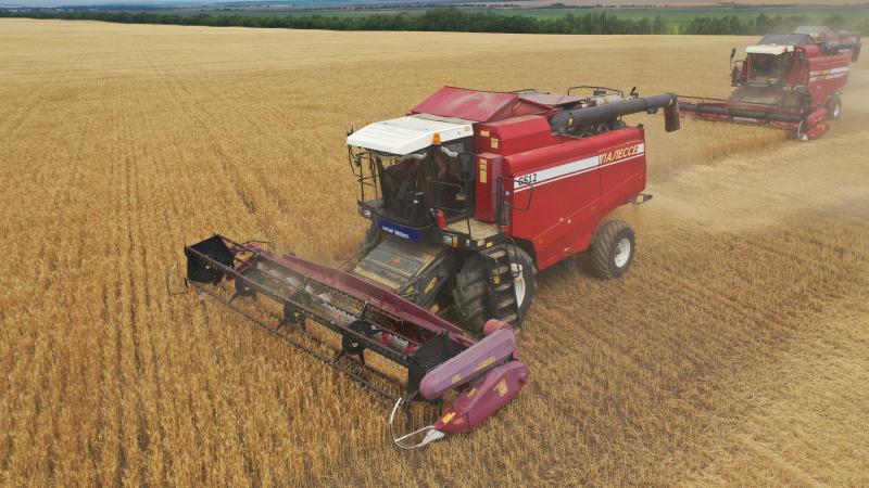 В Самарской области собрали почти два млн тонн зерна