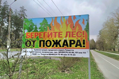 30 пожаров за сезон: в Тольятти продлен запрет на посещение лесов