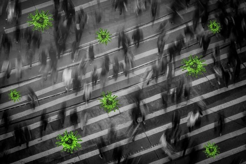 COVID-19 обнаружили еще у 8 373 россиян