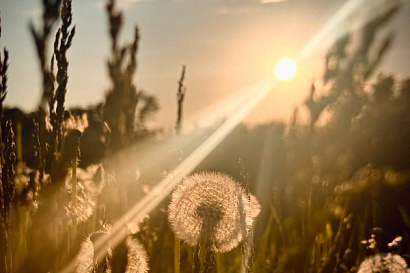 Название статьи