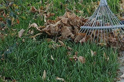 Волонтеры провели генеральную уборку на Крымской площади