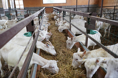 Название статьи