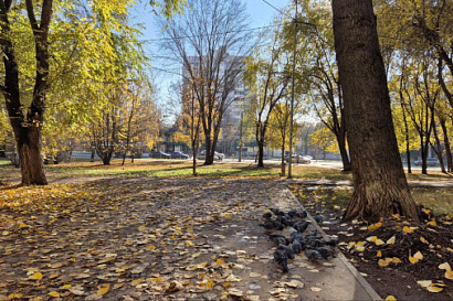 Название статьи