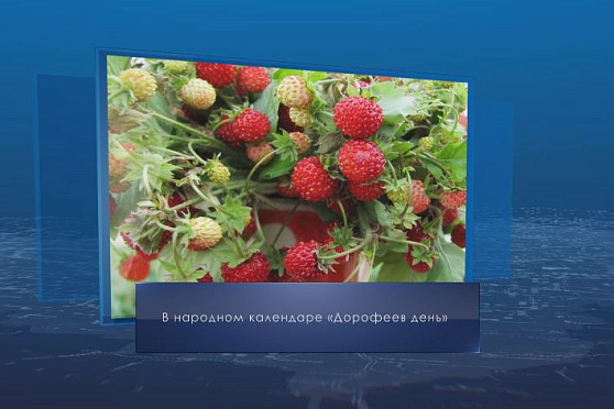 Дорофеев день. Календарь губернии от 18 июня