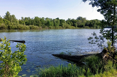 Погода на 26 июня 2025 года: народные приметы и прогноз синоптиков