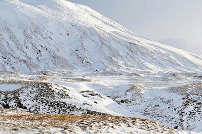 Уфолог рассказал о возможной встрече группы Дятлова с йети