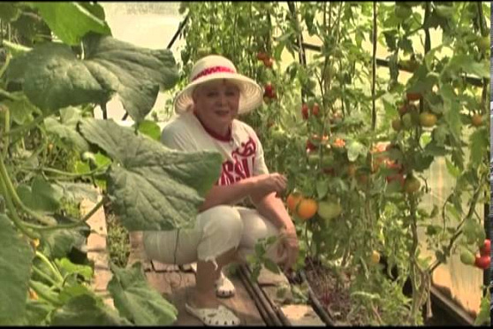 Дачные советы 11.07.2013 