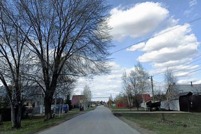 Жители поселка Кириллинский пожаловались на отстрел собак