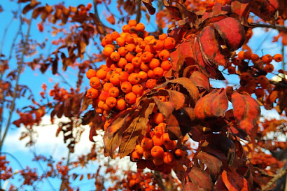 Название статьи